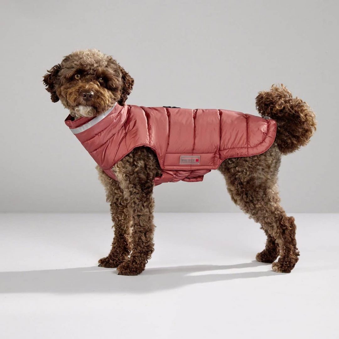 Steppjacke Cosy Rost Rot - Wolters - Hundebekleidung - Kiezhund