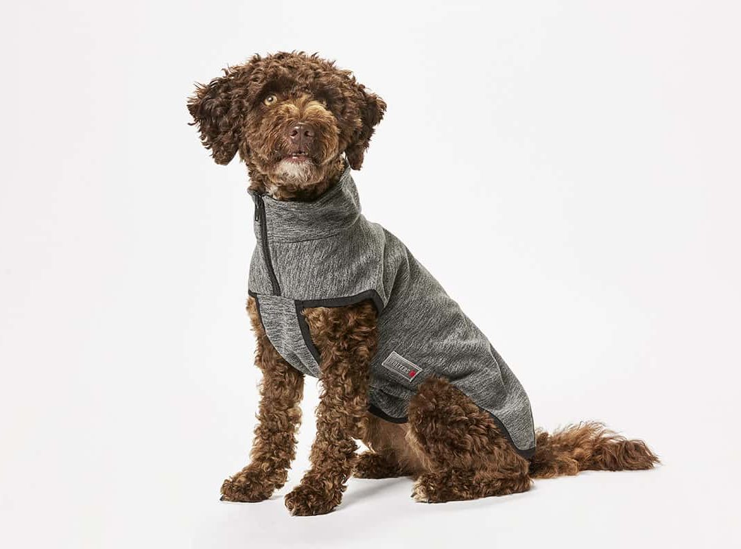 hundefutter bei empfindlichen magen Futtertopping Magen & Darm: Hundefutter für empfindlichen Magen main image 1