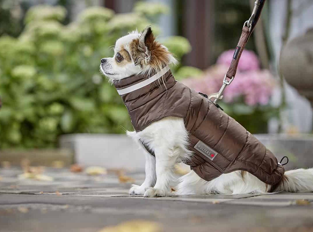 Steppjacke Cosy Braun - Wolters - Hundebekleidung - Kiezhund
