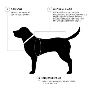 Hunde Maßen – Gewicht, Rückenlänge und Brustumfang für die richtige Hundegeschirranpassung.