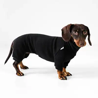 Bequemer Hundepullover aus warmem, weichem Fleece für kleine und große Hunde, ideal für kalte Tage, bei Kiezhund Hundeshop erhältlich.