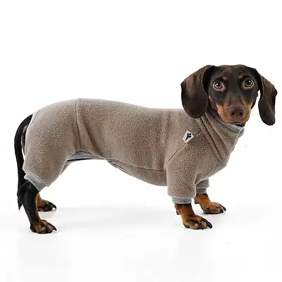 Gemütlicher Hunde Overall aus fleece, ideal für kalte Tage, langlebig und bequem, perfekt für kleine bis mittelgroße Hunde, als modisches Accessoire für Hundeliebhaber geeignet.