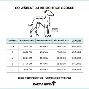 Hochwertiges Hundegeschirr in verschiedenen Größen für italienische Windspiele, perfekt für den sicheren Halt und Komfort. Jetzt das passende Hundezubehör bei Kiezhund Hundeshop entdecken.