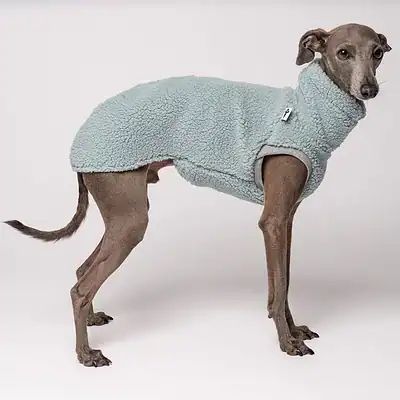 Karma Hund Teddy Shirt Windspiel Mint