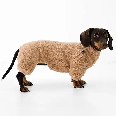 Weiches Hundepullover aus Fleece für Dackel und kleine Hunde, warm und bequem, ideal für kalte Tage, modisch und funktional, bei Kiezhund Hundeshop erhältlich.