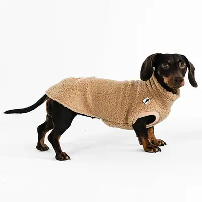 Weicher Hundepullover für Dackel, warmes Fleece, Hundeshop Kiezhund, modischer Hunde-Mode, bequemer Hundestil, Winterhundebekleidung, Hunderüsten, Tierbedarf, Hundeaccessoires, Hundepflege.