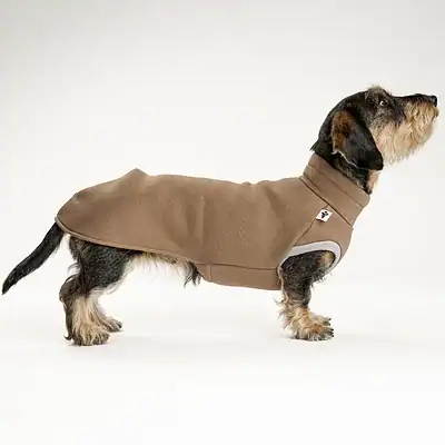 Moderner Hundemantel für Dachshunde, warmes und wasserabweisendes Fleece, ideal für Spaziergänge bei kaltem Wetter, passt perfekt für kleine und mittlere Hunde.