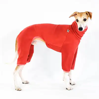 Bequeme Hundebekleidung für Hunde, warm und stylisch, ideal für kalte Tage, ohne den Komfort des Tieres zu beeinträchtigen, perfekt für Hundeliebhaber, erhältlich bei Kiezhund Hundeshop.