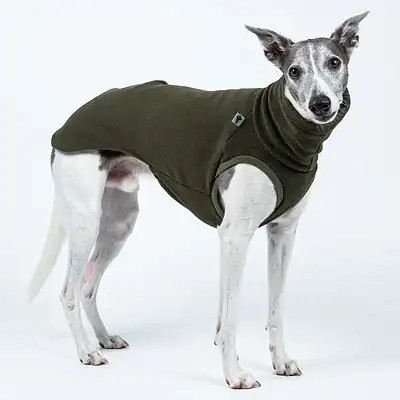 Bequemer Hundepullover aus warmem Fleece, ideal für kalte Tage, passend für kleine und mittlere Hunde, von Kiezhund Hundeshop geeignet.
