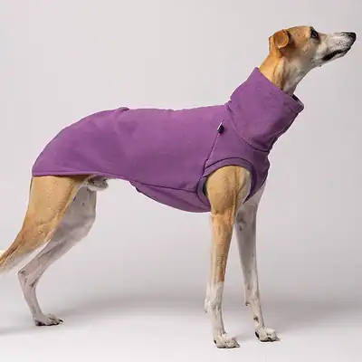 Warmer Hundepullover aus Fleece für Hunde, in Lila, ideal für kalte Tage, kuscheliger Komfort, Hundeshop Kiezhund.
