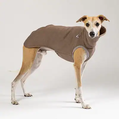 Hochwertiges Hundeshirt in Braun für Dogwear und Hundegeschirr.