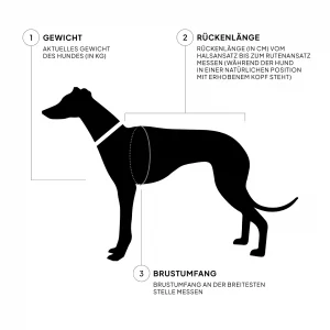 Größentabelle Windhund