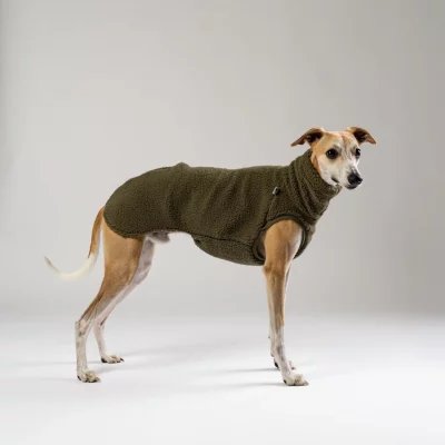 Karma Hund Teddy Shirt Windhund Dark Olive