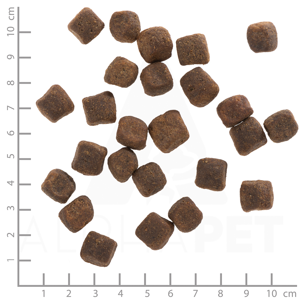 Wolfsblut - Adult Dark Forest – Bild 2